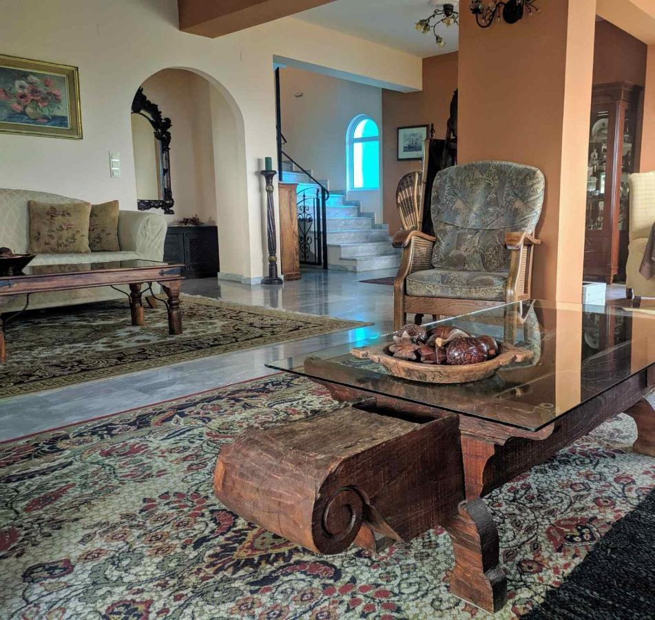Vila Kalielaia Mouzákion エクステリア 写真